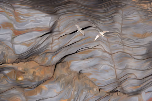 Item #94302163411569095589289123968041002973019814470584416299482263090040380850177 Media