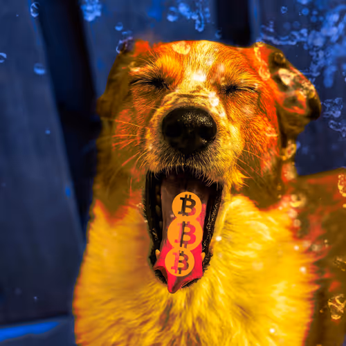 aliasknight Collection