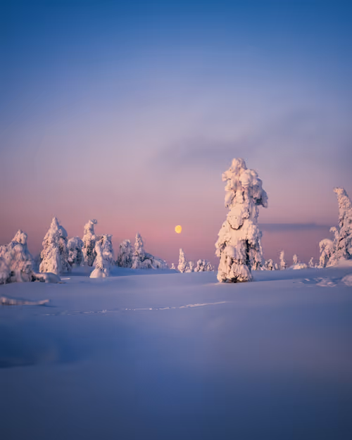 Item #85137439897558800446681939847979956921112818192745958846838338960058969227265 Media