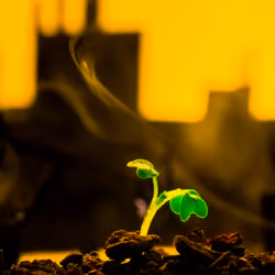 Impact of mining on nature №32 of 33