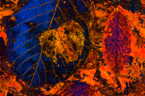 Item #11128123256113201505825332092376579448973501376012613523417643041477600739329 Media