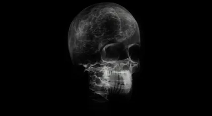 Untitled Collection #4266943729