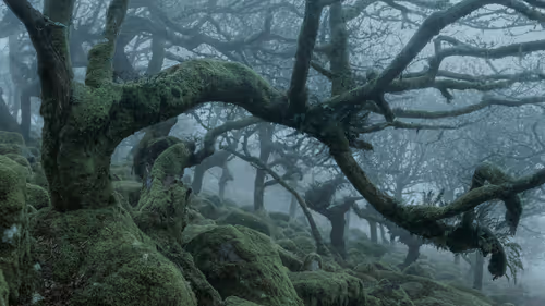 Item #72639390708267126639436568569652760193401123475841185469851730253255236648961 Media