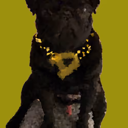 PixiPug Donut the Rapper - Green