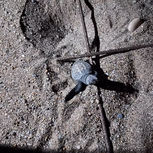 Untitled Collection #7682596