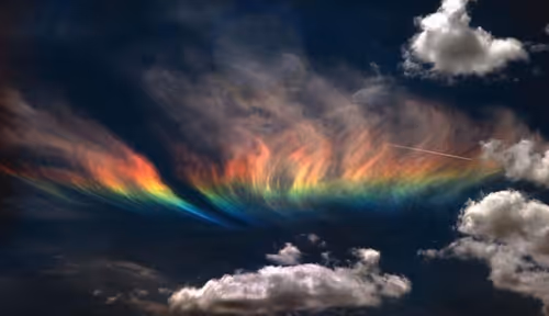 Item #14672358398485364534941338880065879202149366033740271319308885490451997523969 Media