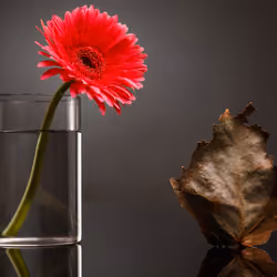 Chttps://www.instagram.com/fotoholic_11/lassical fall