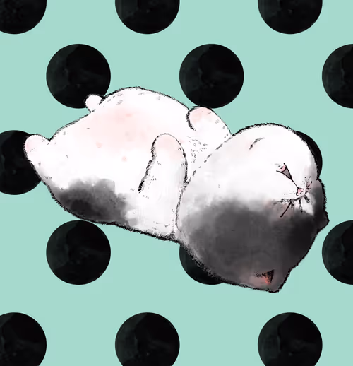 Item #37787359946517531250562291799525874448910537892577059247393481170676080443393 Media