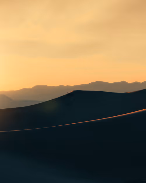 Item #4015407752300364533452678747912321307133041258187258919128982357984755580929 Media