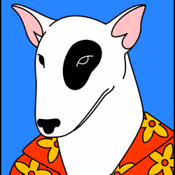 EGO #10