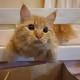 111737474609541677207557629509046337441515761940728599563430346416874103767041