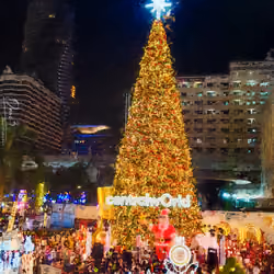 Bangkok Christmas tree