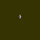 Live Polygon #0958