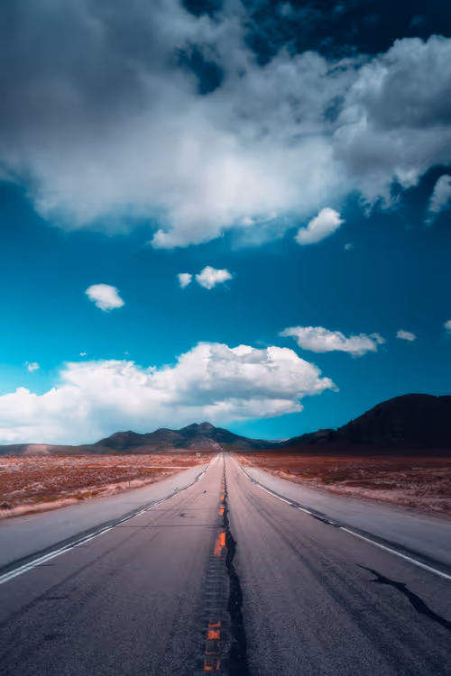 Item #62546128571173573861370652936856218284243546780344801453551937512420386275329 Media