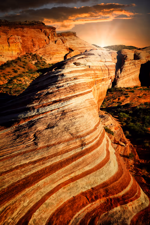 Item #101131428219737421258905358447066100782642881708767495255193714677187822485505 Media