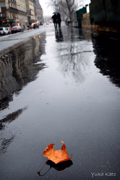 Item #111326101478107214990251795731047965840392207690526379209547236969692528640001 Media