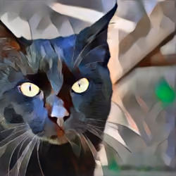 BlackCat