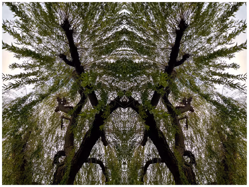 Item #39842122399831876294969041227459341578040195517803177153867578418728064253953 Media