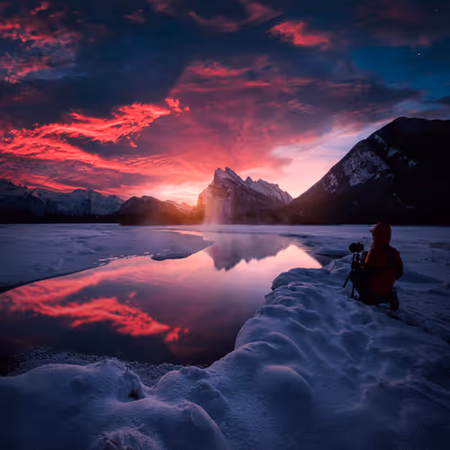 Follow the light edition