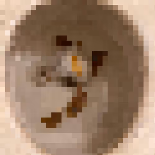 Pixelatedshit