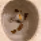 2850415134272365380187775685678842410458265265709128331682257679998607425537