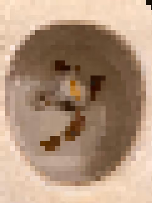 Item #2850415134272365380187775685678842410458265265709128331682257679998607425537 Media