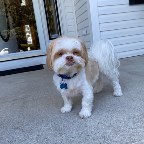 Most Cutest Mali