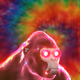 9250605307595587702394234850661833939238315302181593942266886313795165093889