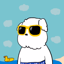 804