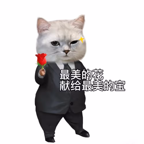 eric1zhao Collection