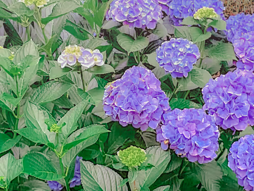 Item #26309083901545567454709889211670292098627789932924015051489478923991052713989 Media