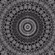 88101905242850405738669348413308921860937537121440308658917749587707802157057