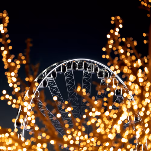 Untitled Collection #62896964