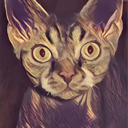 The Bestest Cat 12