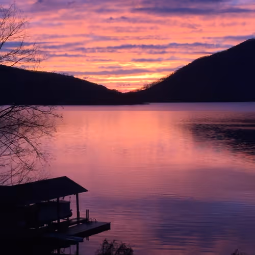 Purple Sunrise