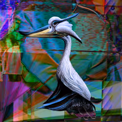 PFP (Portrait Freak Pelican) #028