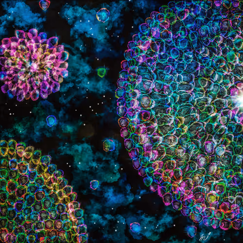 Item #35135057246876855535948544646223135557775389745028522947438532484269281902593 Media