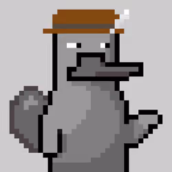 Platy Punk #901