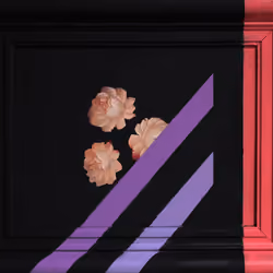Flowers Pink Dip Purple Bars