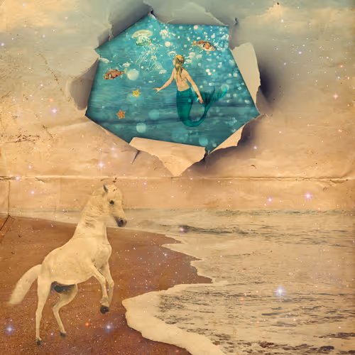 Portal To A Parallel Universe