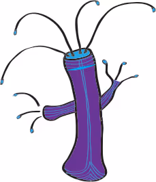 Item #114008008152738858439089017376869668929343649019793498668551632448327648280577 Media