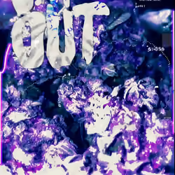 Chill Out