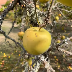 Saisons de France SEPTEMBRE