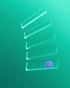 Item #1235442826432280345368386600292423346142530610960796575193012976542132731905 Media