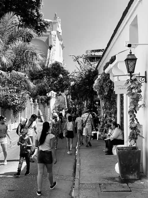 Item #41673148381276602242118576638571883015956905201675020614810101419286980460564 Media