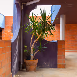 73773515307052363543779810141096593187996593085491148203919191646282302095361