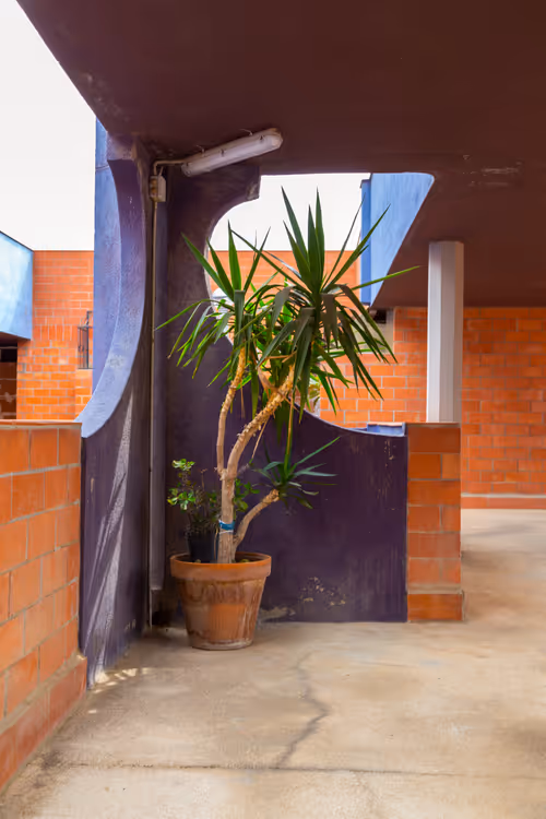 Item #73773515307052363543779810141096593187996593085491148203919191646282302095361 Media