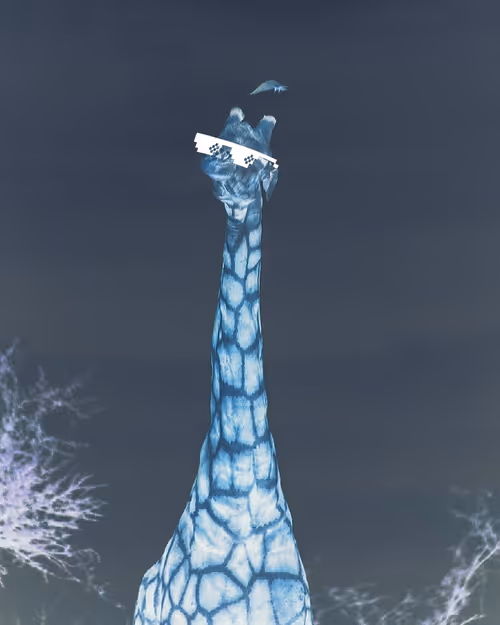 Item #97259437109243481374133745237872562565541700854683372066845316388966274957313 Media