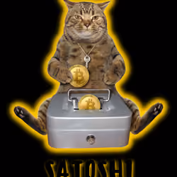 Hodler Satoshi #1 of 1