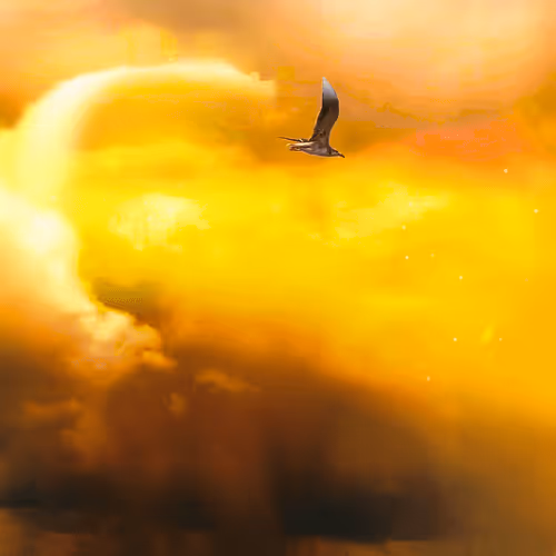 Moving Sky Art